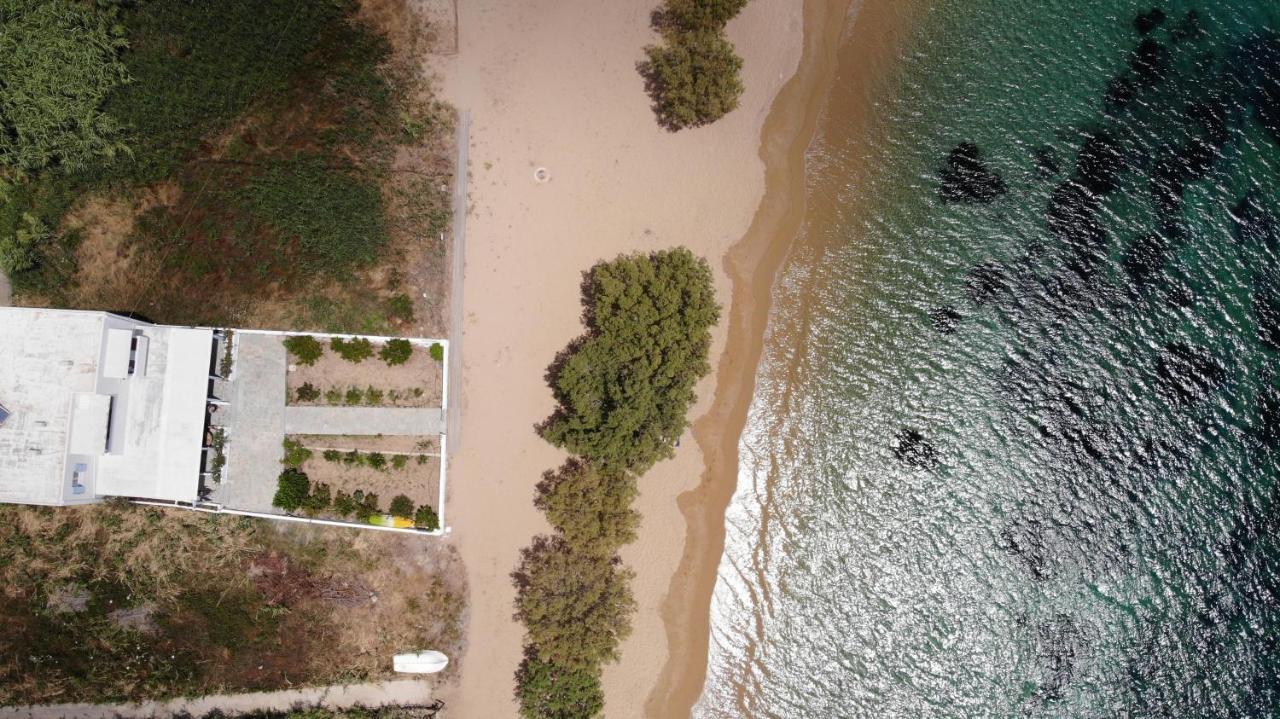 Galazio Seaside Apartments Livadakia Екстериор снимка
